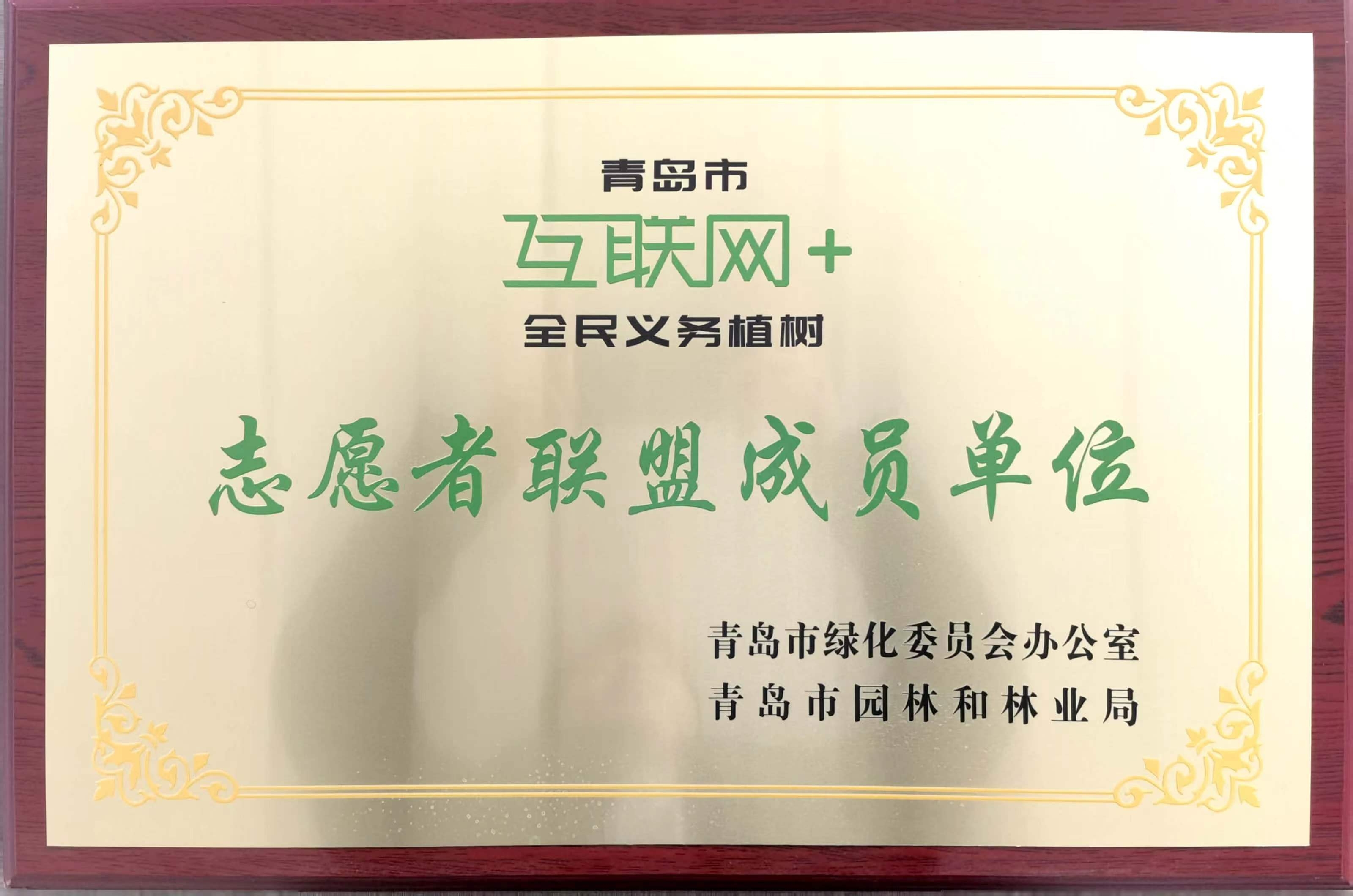青岛西海岸新区绿泽电影美术学校