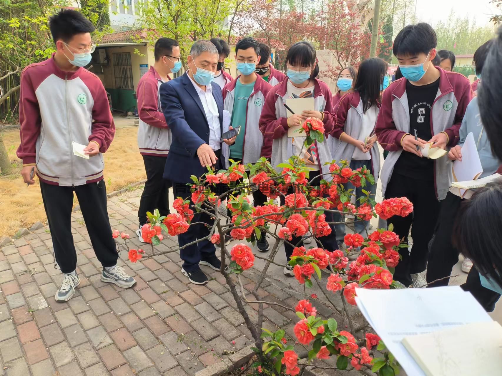 青岛西海岸新区绿泽电影美术学校