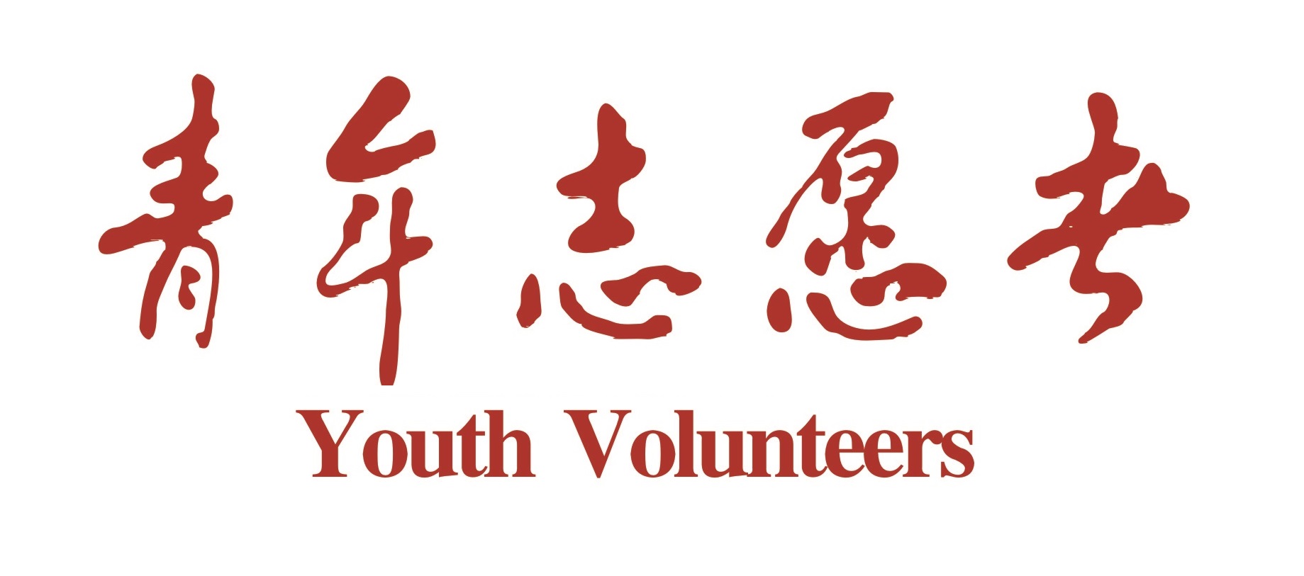 志愿者在行动——我校青年志愿者协会成立